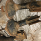 Illustration for article titled Too rusty for koni inserts?